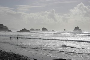 Oregon coast Walking the Oregon Coast