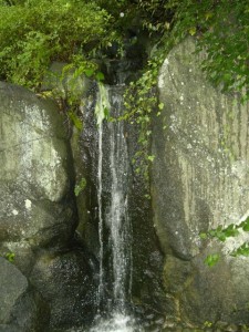 CIMG0209