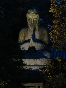 DSC00607