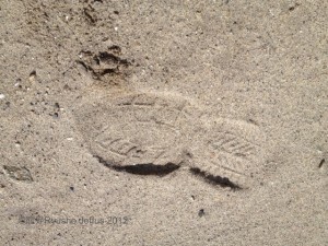 Footprint