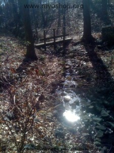 creak